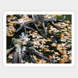 Autumn Otter Pond of Leaves Sticker